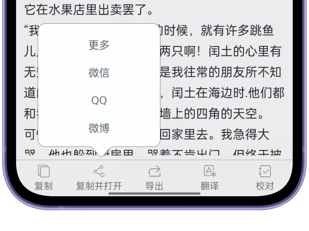 【双12】白描 APP 即将转订阅制，最后1月拿下永久会员！-正版中国